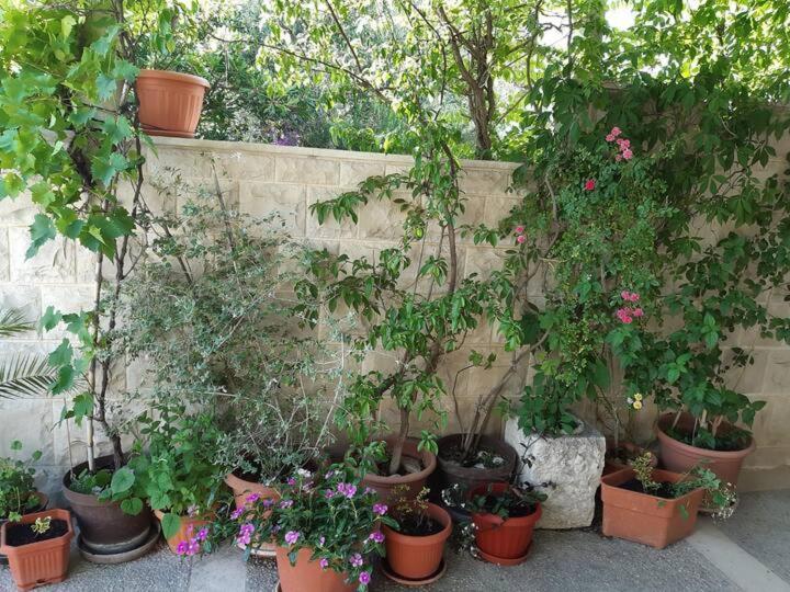 Apartment Biljana Bol Exterior foto
